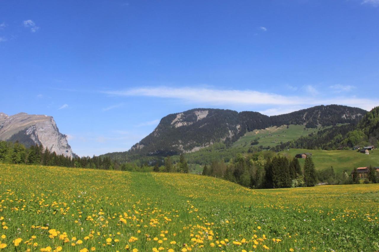 Kanistraum Appartement Schoppernau Luaran gambar